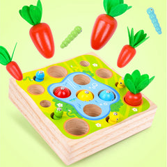 img_4944014