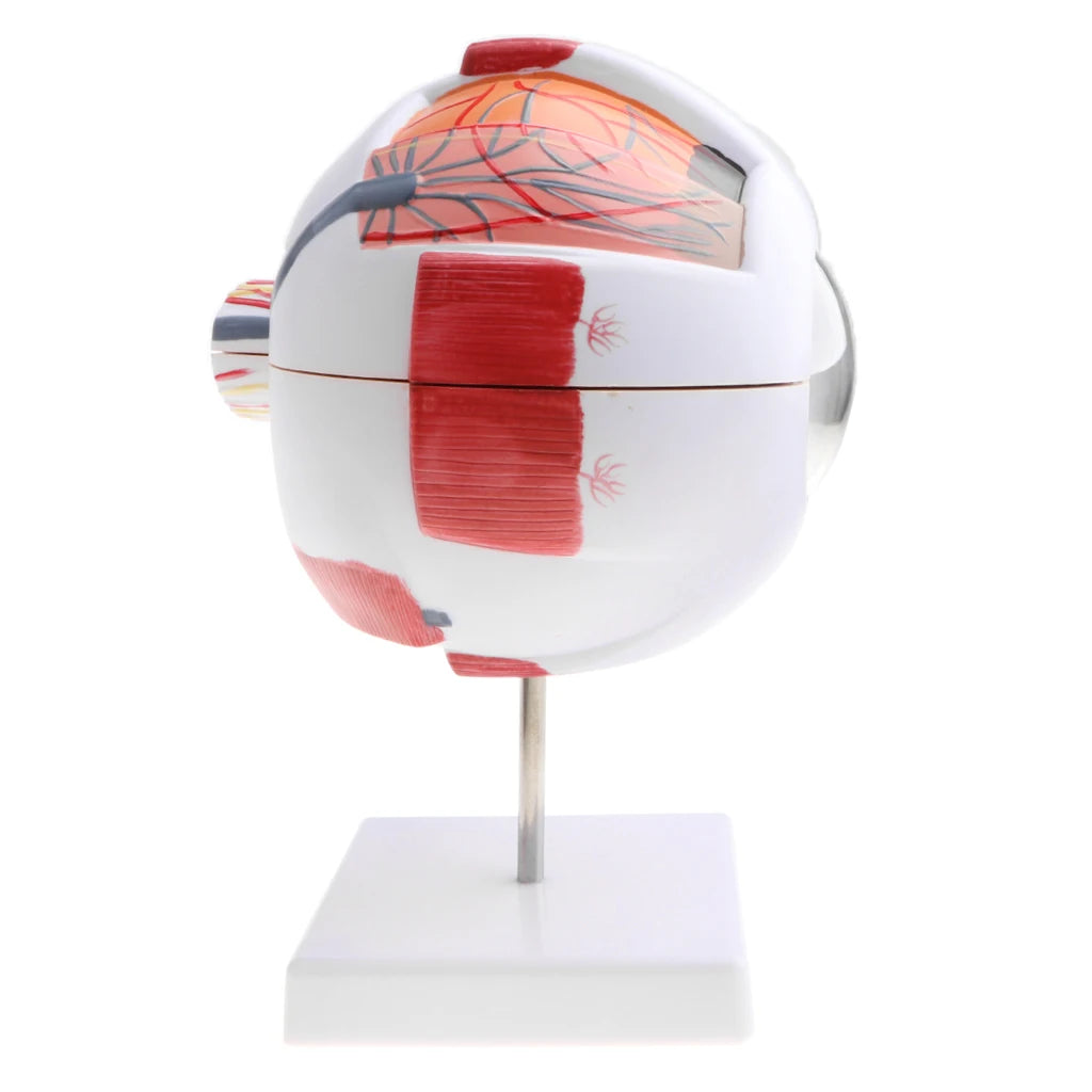 img_2650682