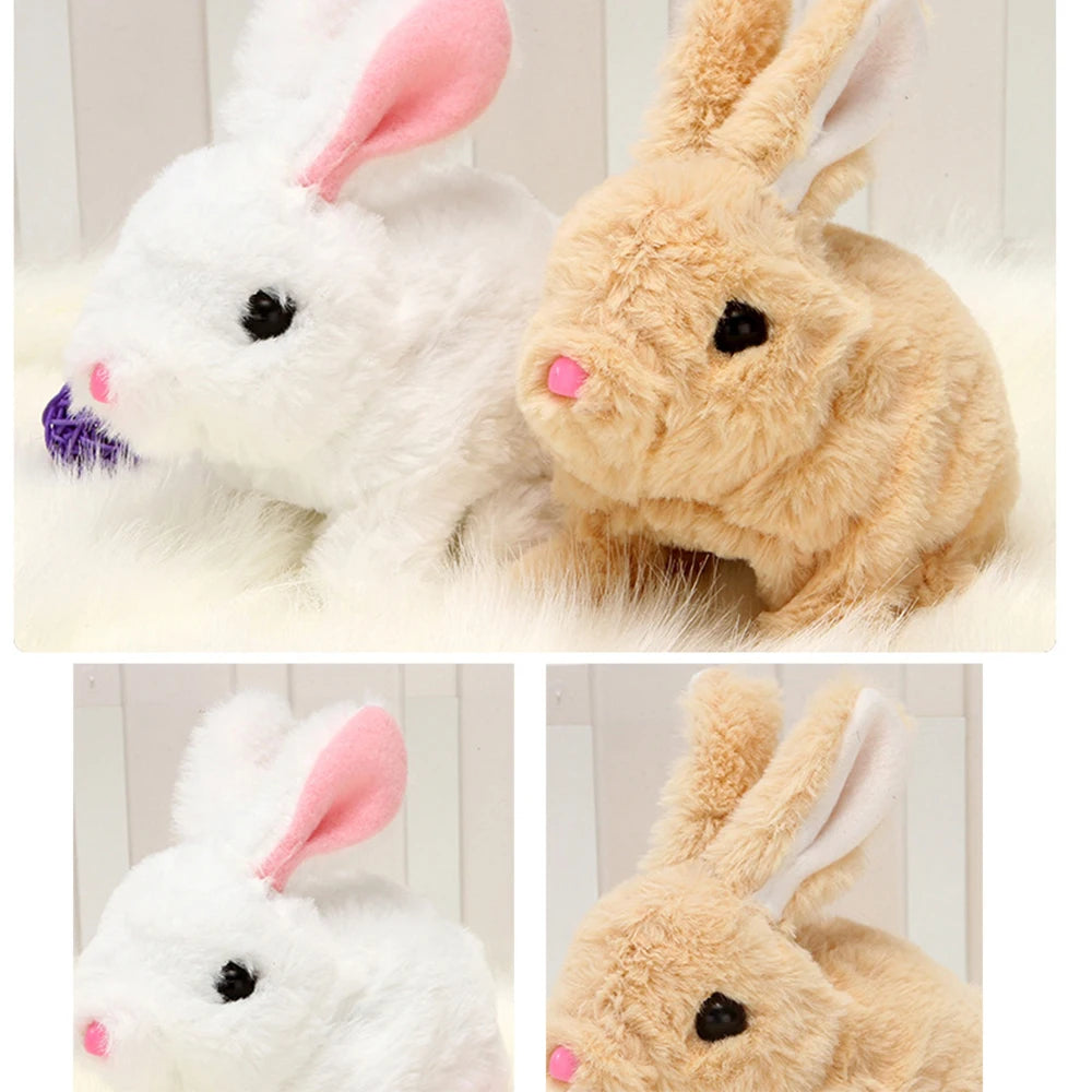 img_2674171