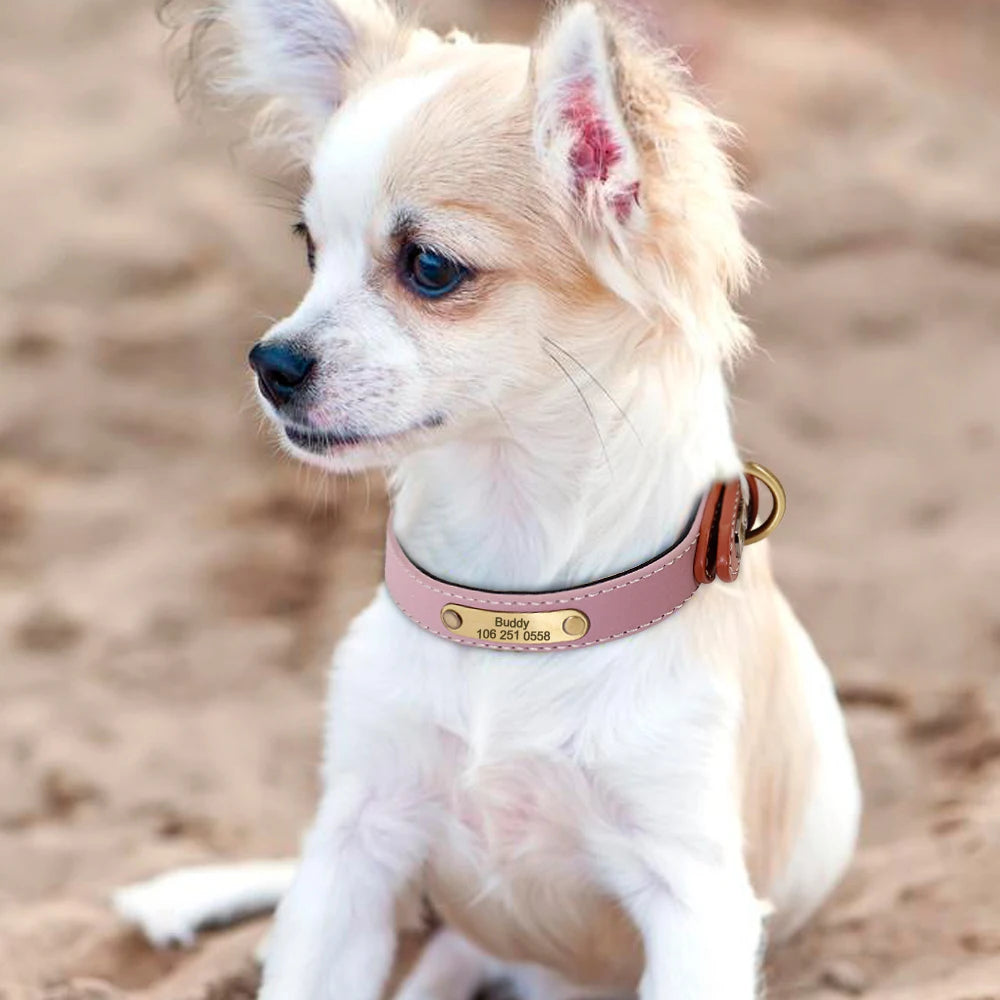 img_5019994
