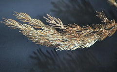 img_1876706