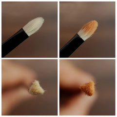 img_356009