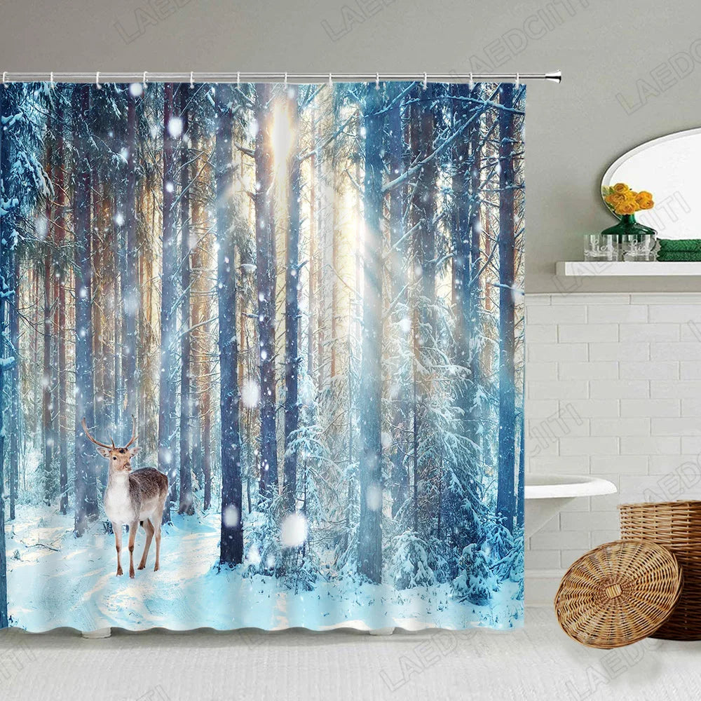 img_7604560