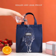 Insulated Lunch Bags Waterproof Camping Food Drink Cooler Bag