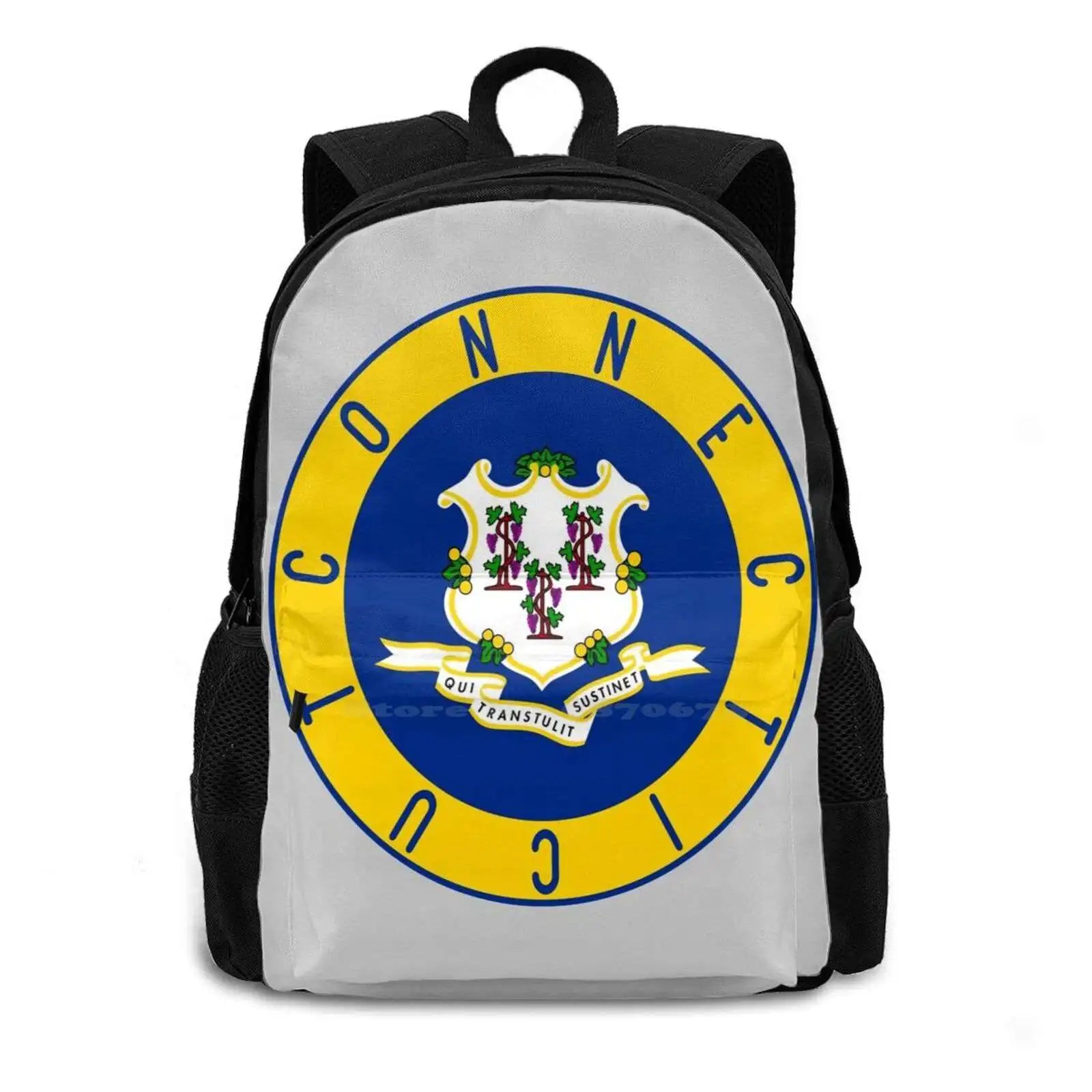 Flag Decal School Bags For Teenage Girls Laptop Travel Bags Flag Flag Ct Conn Ct