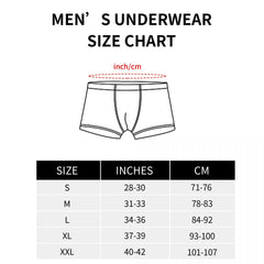 img_2584232