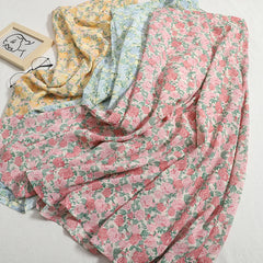 img_2243365