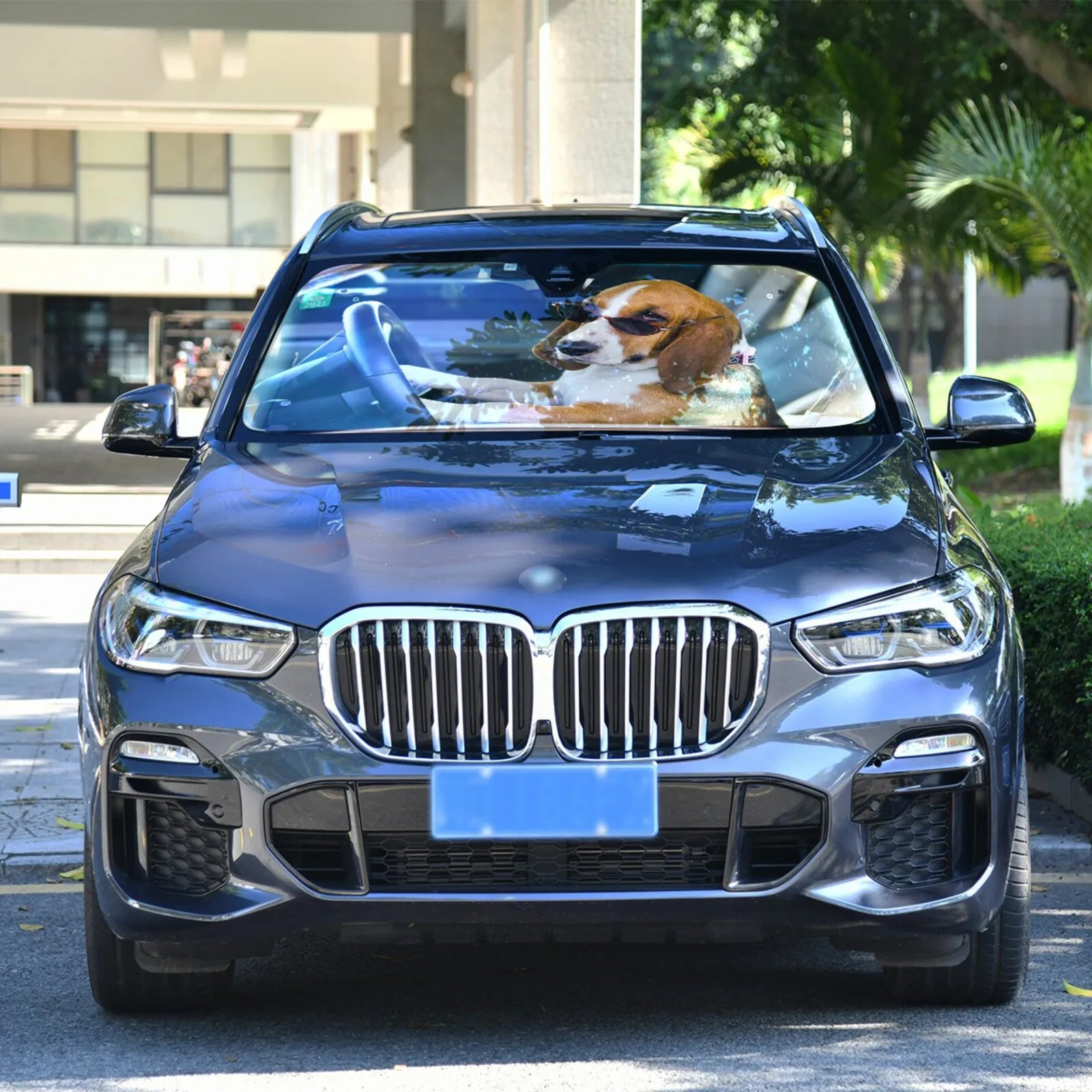 Funny Dog Auto Parts Car Decoration Sunshade Car Windshield Sunshade
