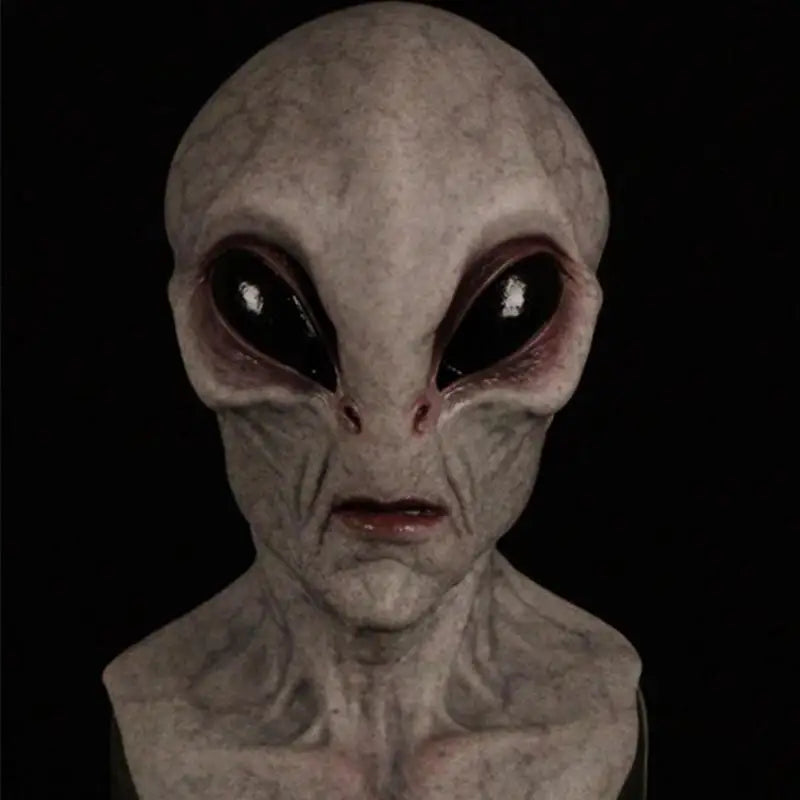 img_2559297