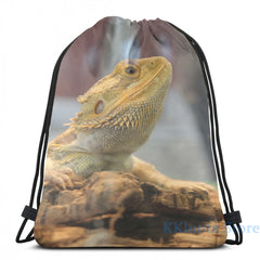 Funny Bearded Dragon USB Charge Backpack School Bag Travel Laptop