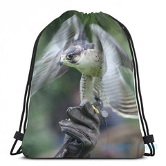 Funny Falconry USB Charge Backpack School Travel Laptop Bag