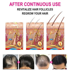 img_447662