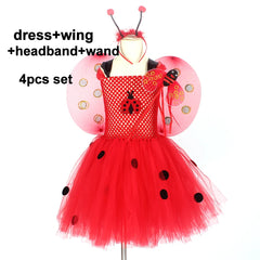 img_2556131