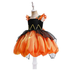 img_2553501