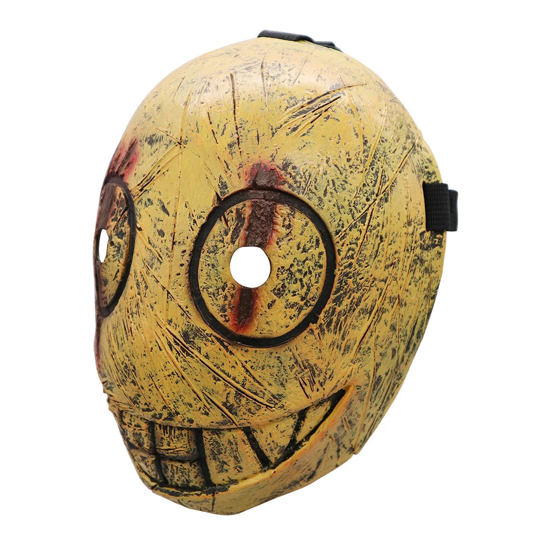 img_2562968