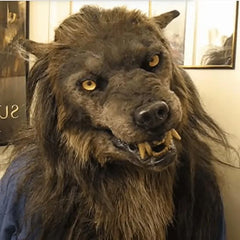 img_2561358