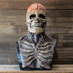 img_2562464