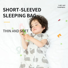 img_1312661