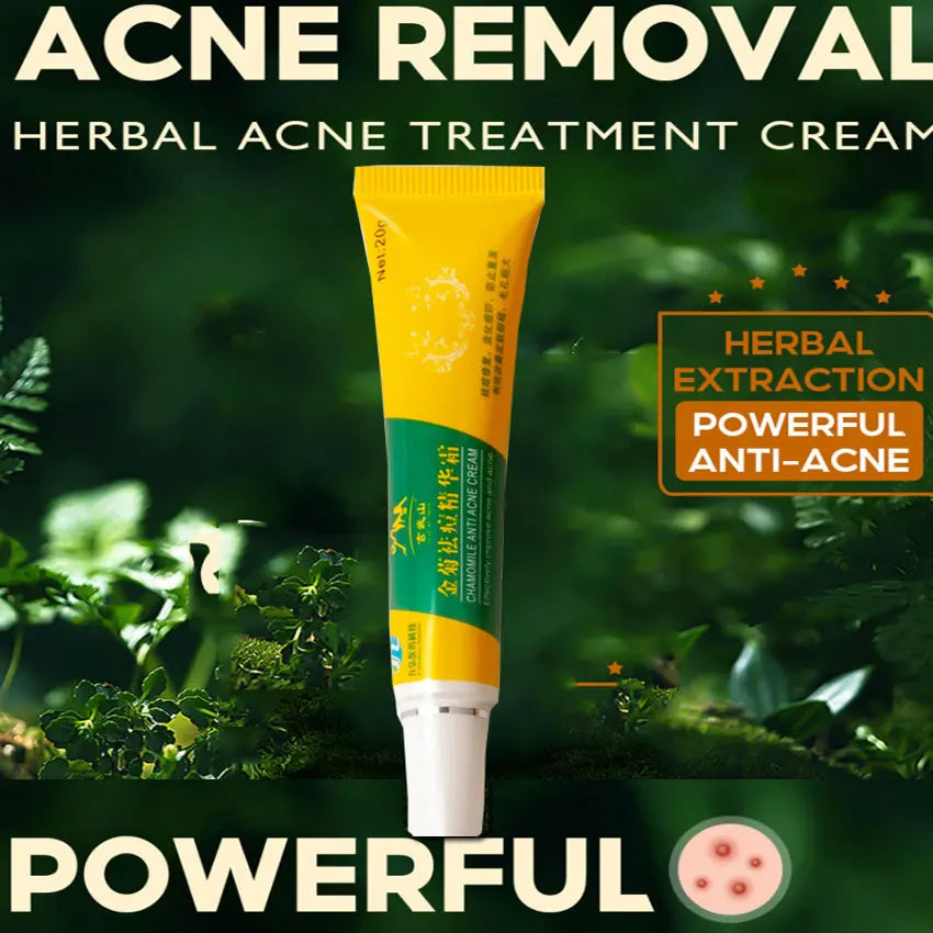 img_316195