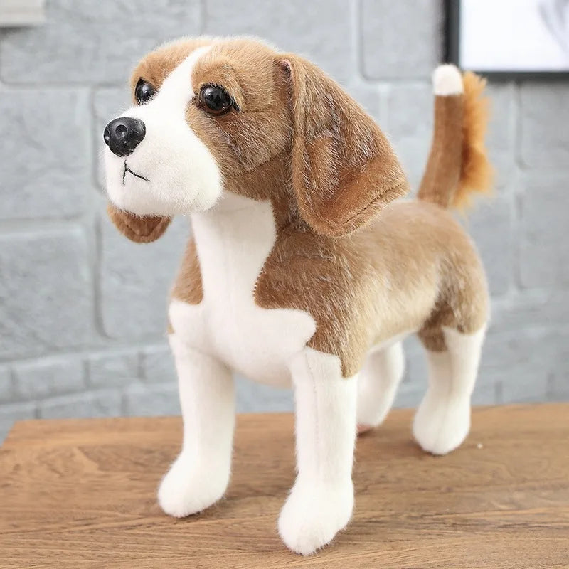 img_2923022