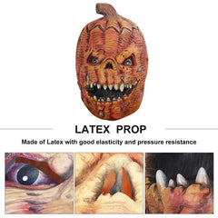 img_2559231