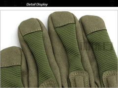 img_1999584