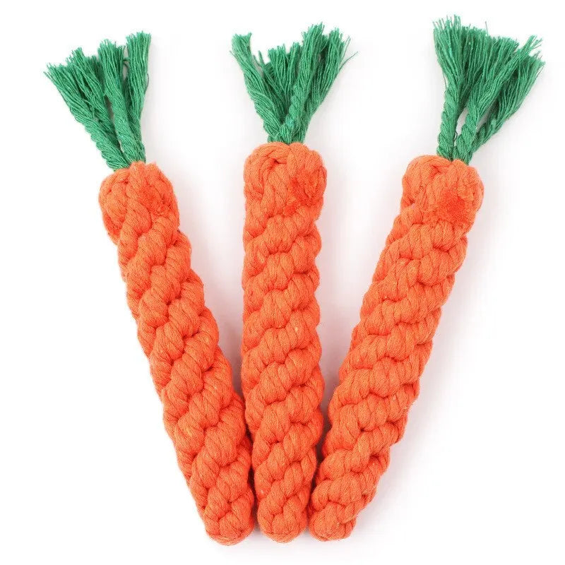img_5100391