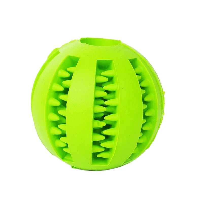 img_5100291