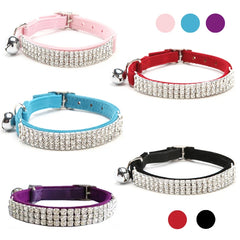 img_5025898