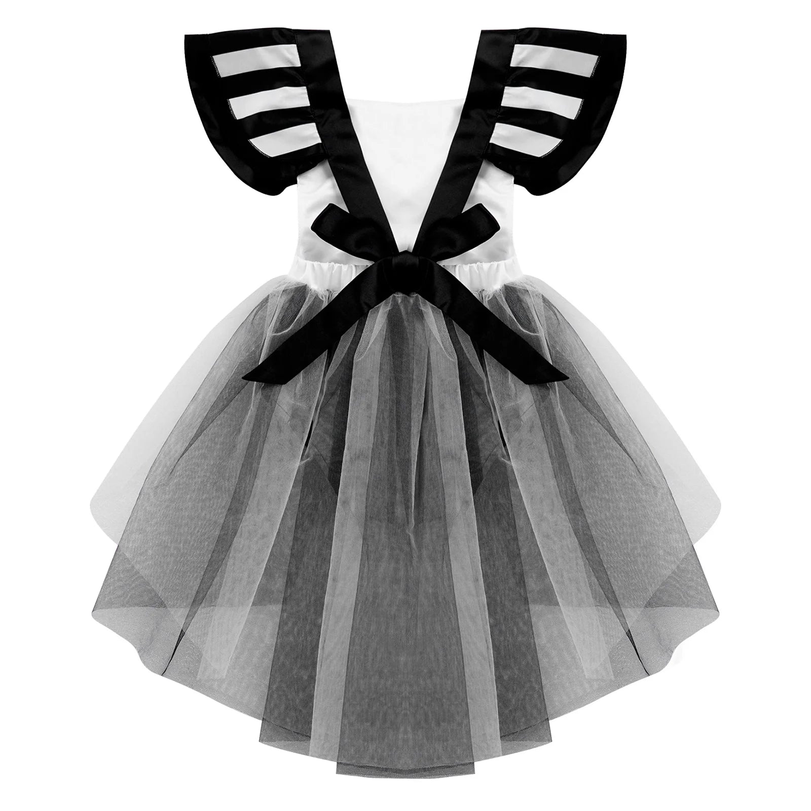 img_2548736