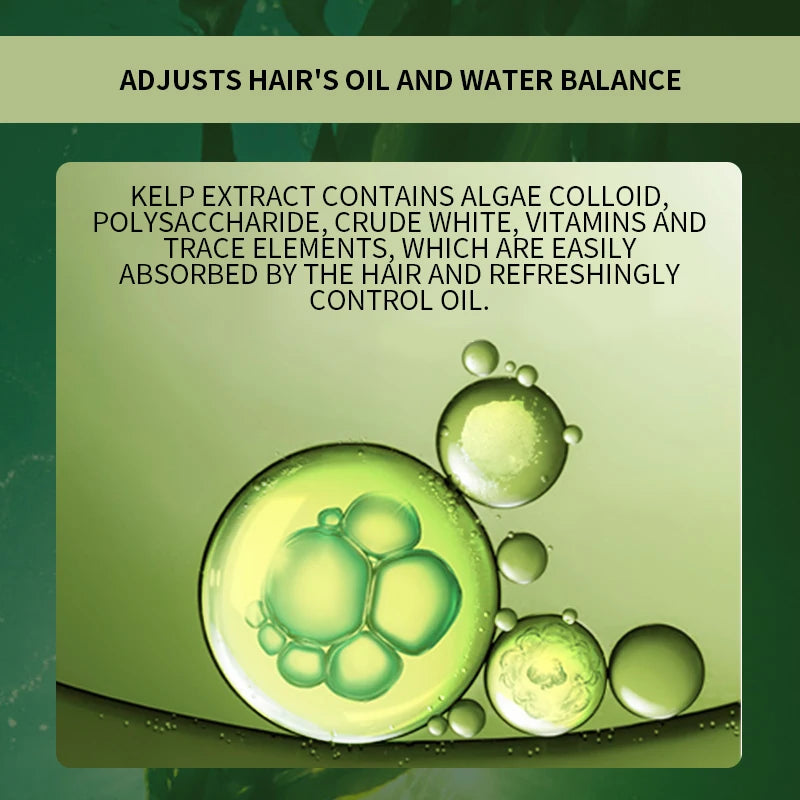 img_377509