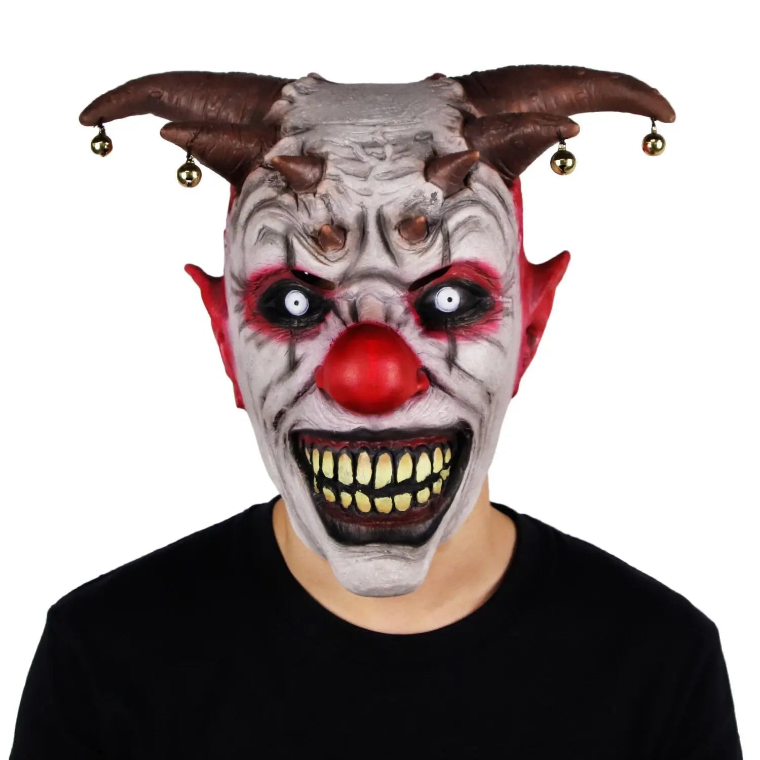 img_2563098