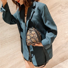 Leopard Triangle Bag Style Handbag Women Shoulder Mini Bag