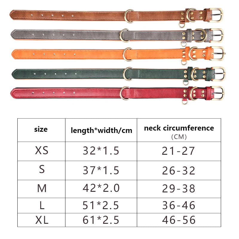 img_5030395