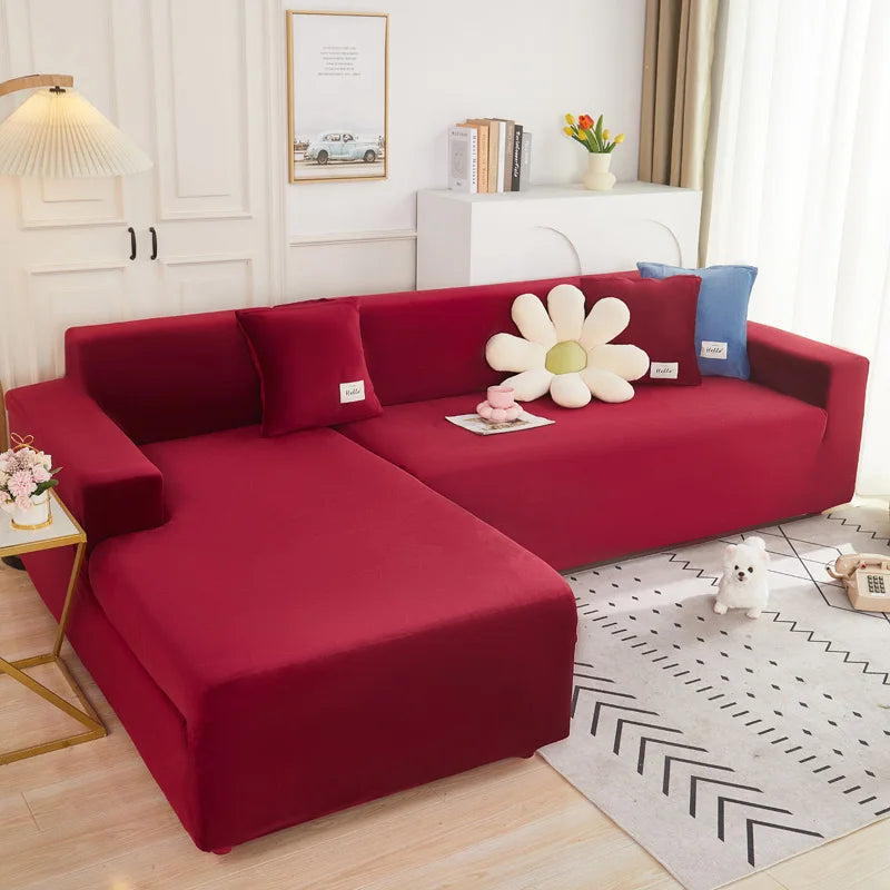 img_5099124