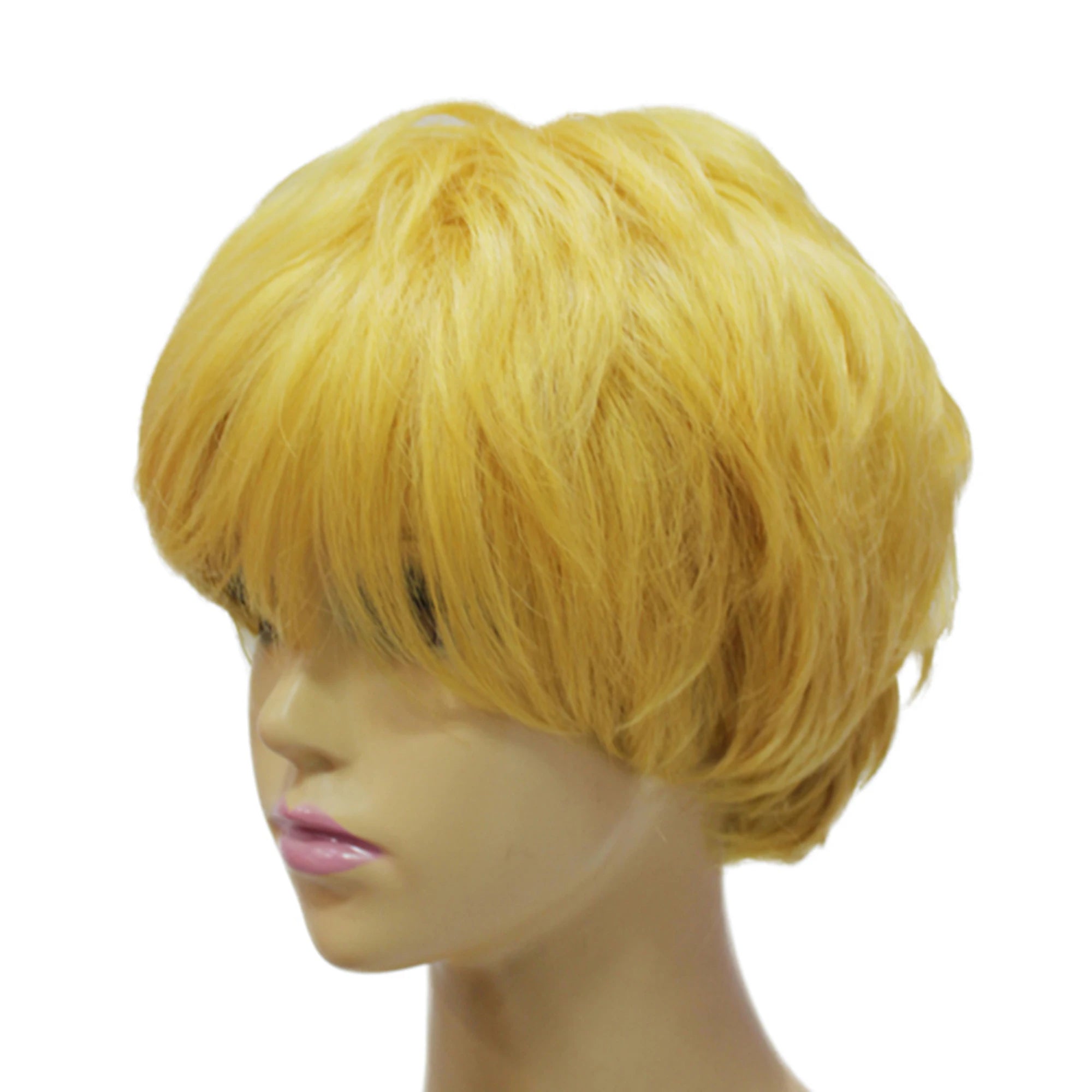 img_183196