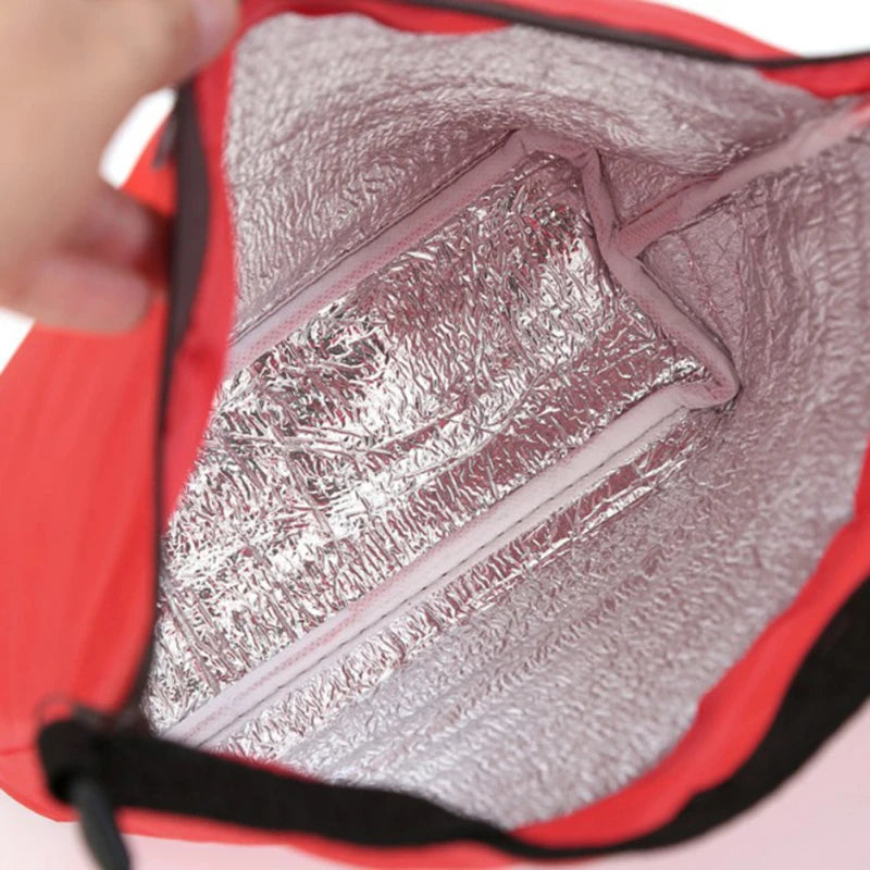 Portable Tote Cooler Bag Bento Pouch Lunch Container School Food Storage