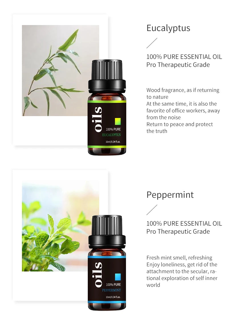 img_5043884