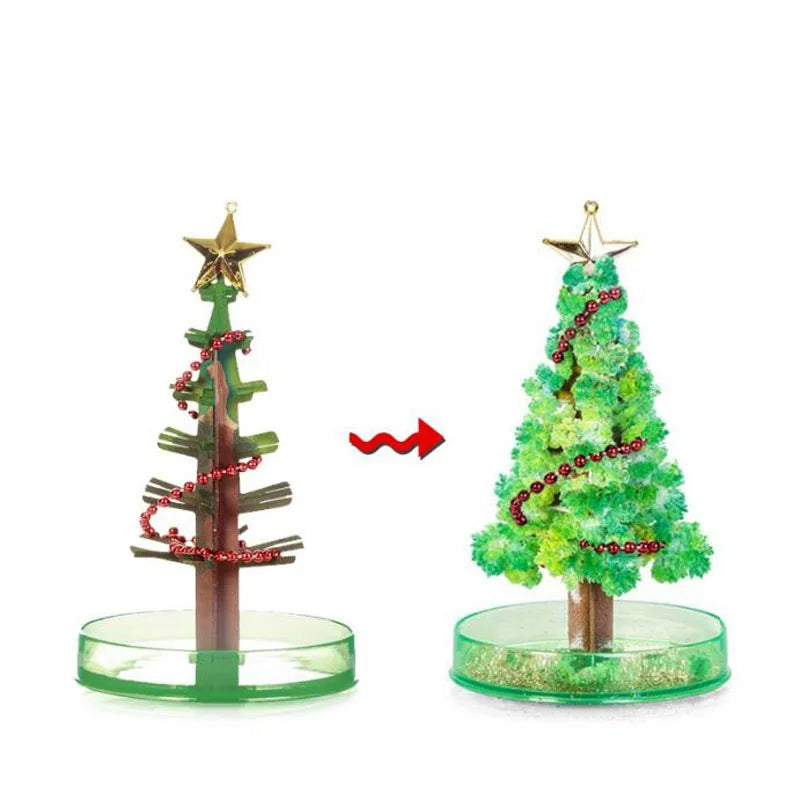 img_2730089