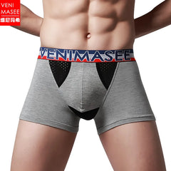 img_2585206