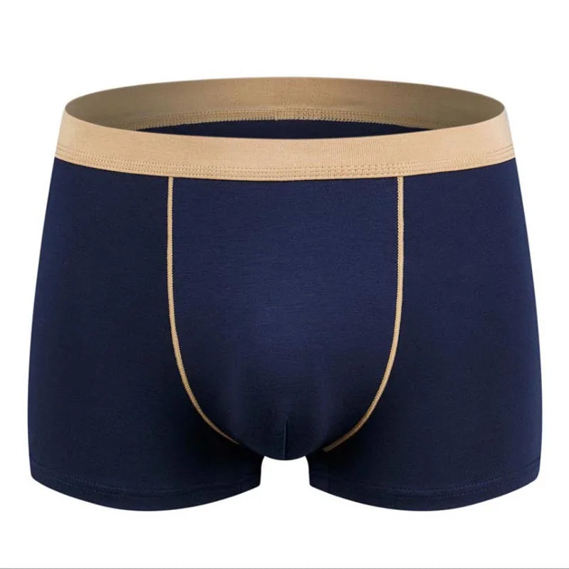 img_2584348