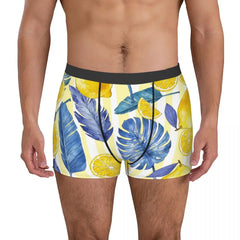 img_2582268