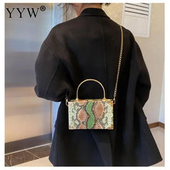 Metal Handle Box Bags Snakeskin Party Clutch Shoulder Chain Purse Handbags