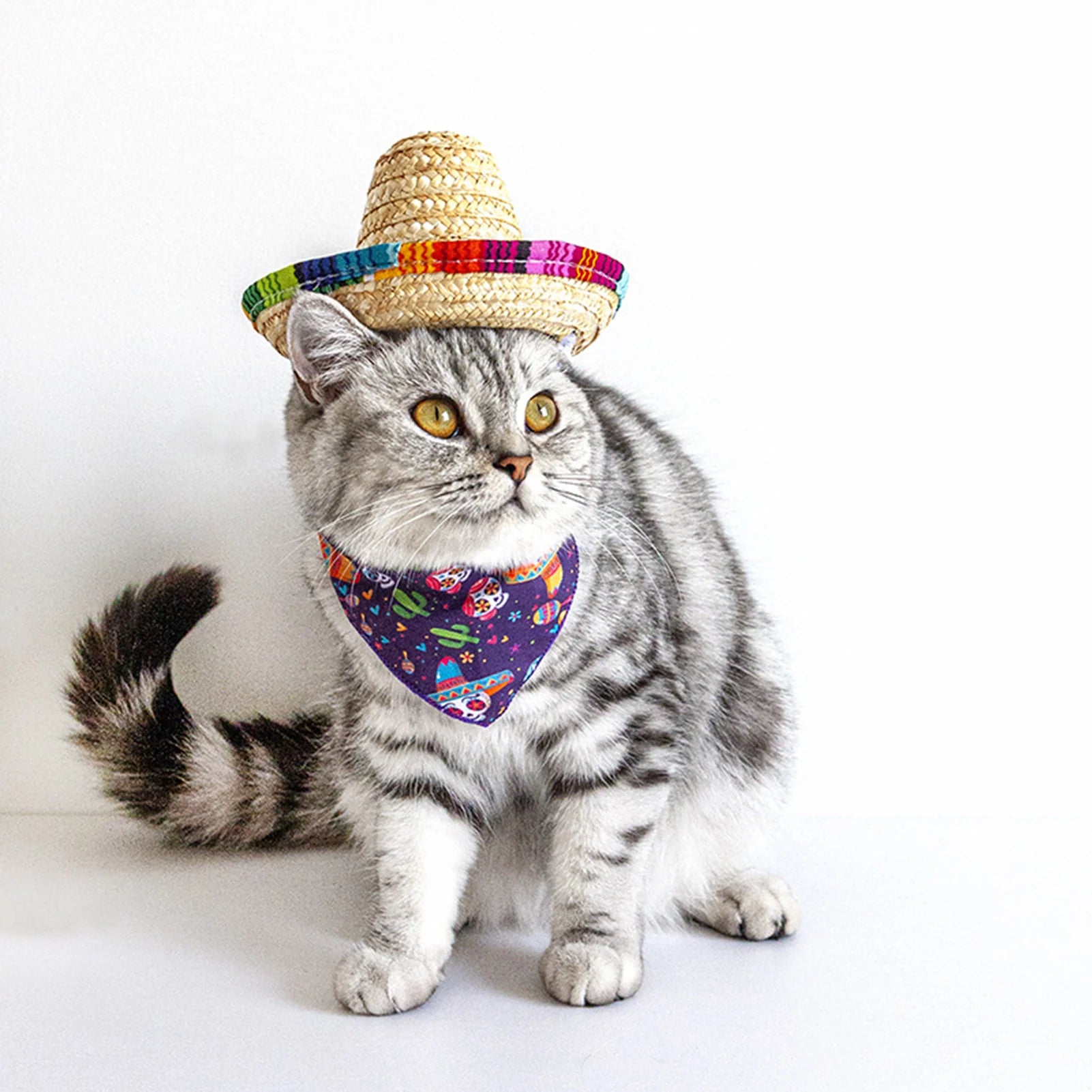 img_4932407