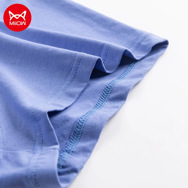 img_2641881