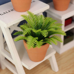 img_2981917