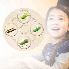 img_2796822