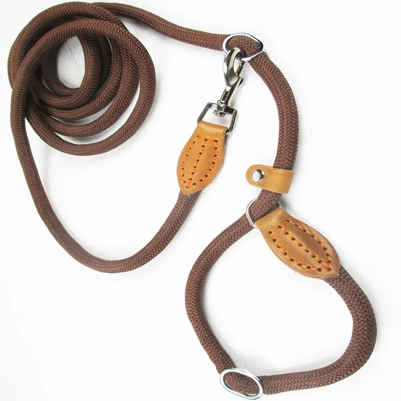 img_5035879