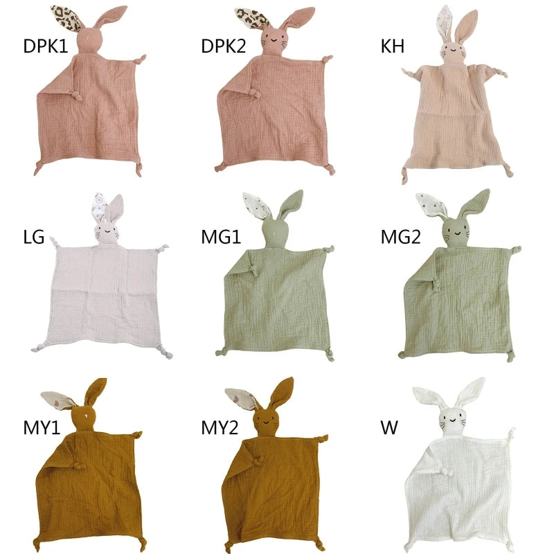 img_1265204