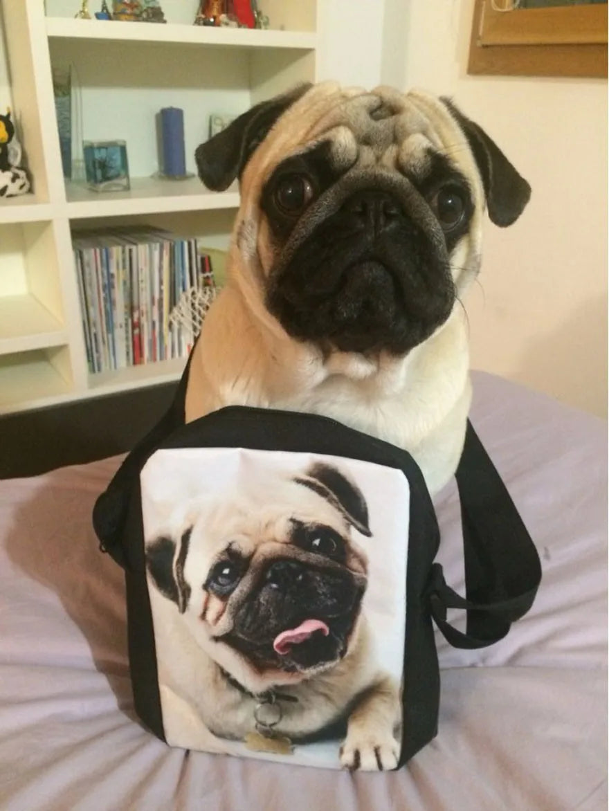 Bull Cartoon Messenger Bag for Kids and Ladies